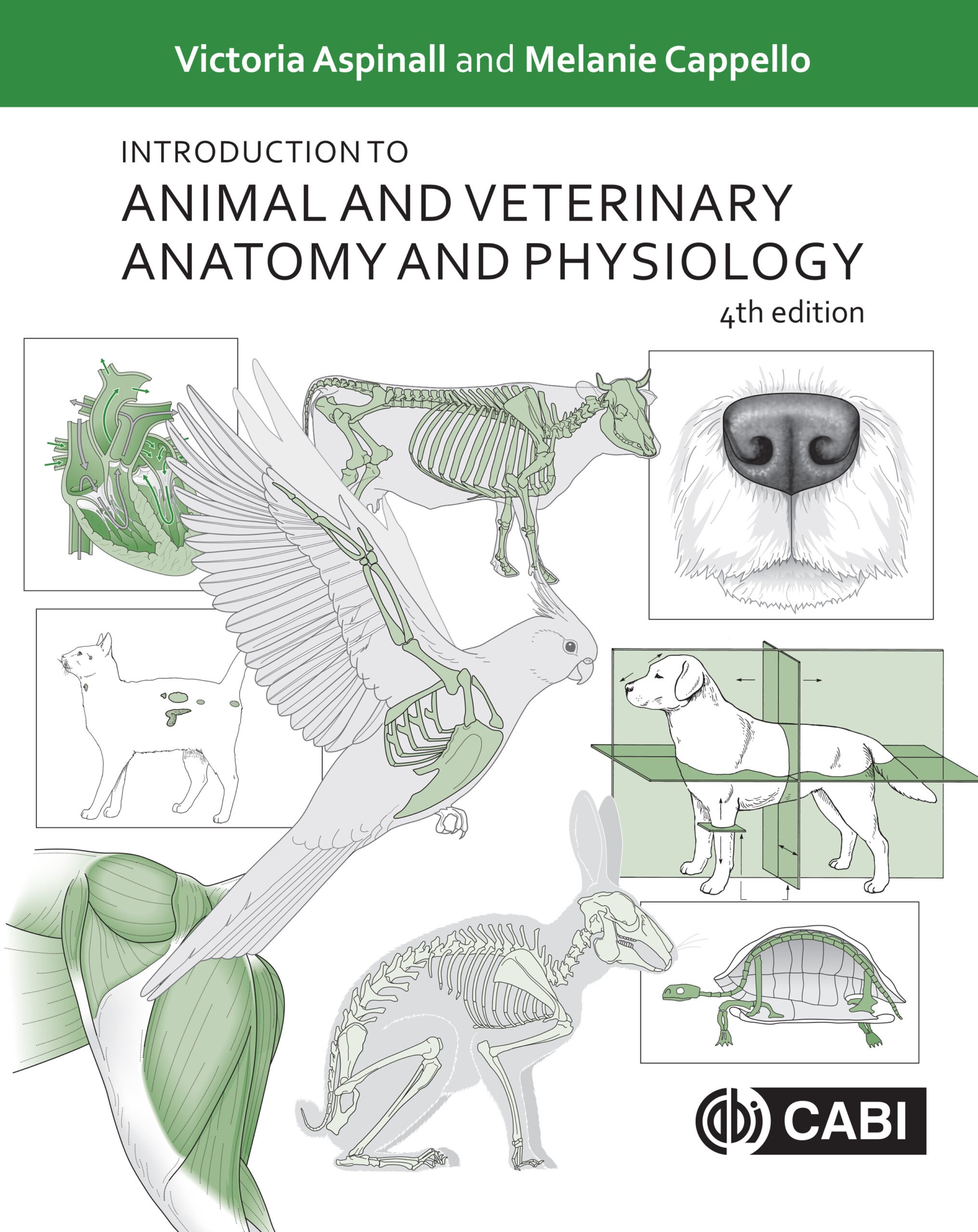 Introduction to Animal and Veterinary Anatomy and Physiology (4th Edition) – eBook PDF