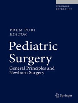 Pediatric Surgery: General Principles and Newborn Surgery – eBook PDF