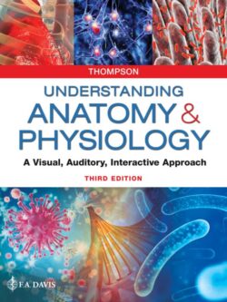 Understanding Anatomy and Physiology: A Visual, Auditory, Interactive Approach (3rd Edition) – eBook PDF