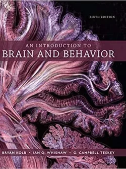 An Introduction to Brain and Behavior (6th Edition) – PDF