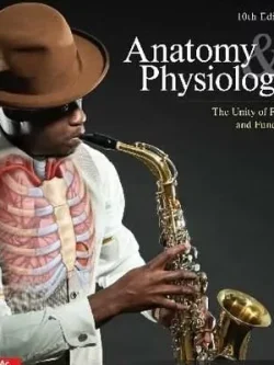 Saladin Anatomy and Physiology (10th Edition) – PDF