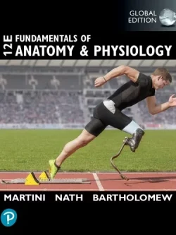 Fundamentals of Anatomy and Physiology (12th Global Edition) – PDF