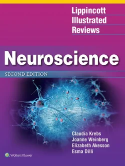 Lippincott Illustrated Reviews: Neuroscience (2nd Edition) – PDF