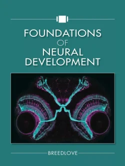 Foundations of Neural Development – Breedlove – PDF