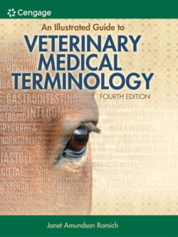 An Illustrated Guide to Veterinary Medical Terminology (4th Edition) – PDF