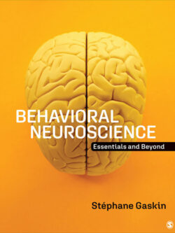 Behavioral Neuroscience: Essentials and Beyond – PDF